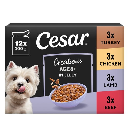CESAR Senior 10+ Deliciously Fresh Dog Pouches Favourites in Jelly 12x100g