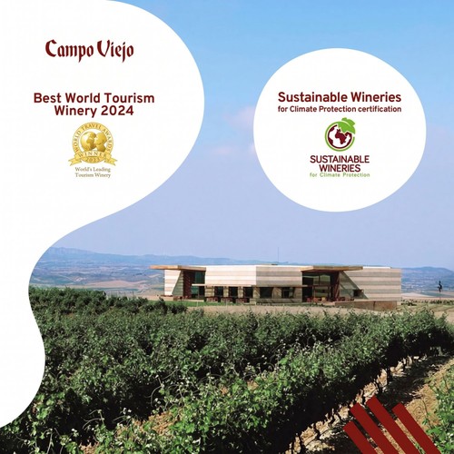 Campo Viejo Rioja Blanco White Wine