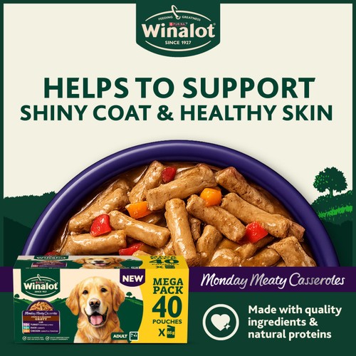 Winalot Monday Meaty Casseroles In Gravy Dog Food 40 X 85G