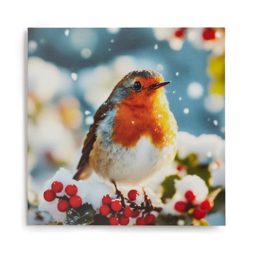 Morrisons Square Photographic Robin Cards 10 Pack