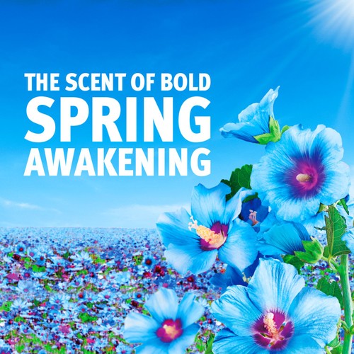 Bold All In 1 Laundry Powder Spring Awakening 44 Washes
