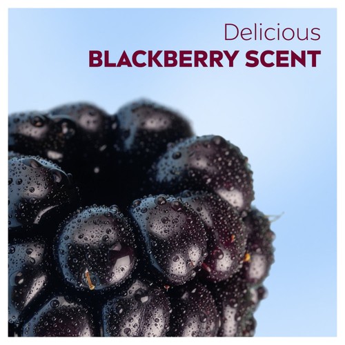 Nivea Lip Fruity Shine Blackberry 4.8G