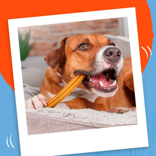 Bakers Dental Delicious Large Dog Chews Chicken