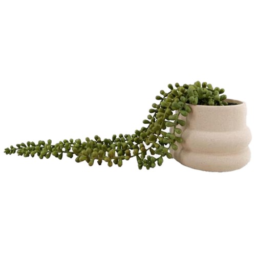 Nutmeg Home String Of Pearls In Ceramic Pot