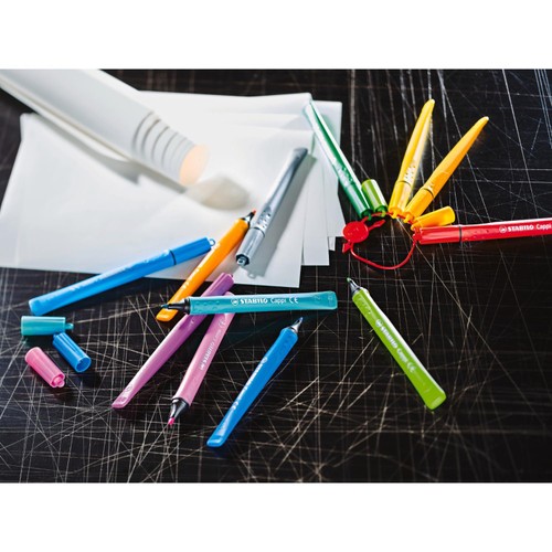 Stabilo Cappi Arty Wallet 12 Assorted Coloured Pens