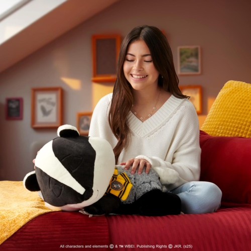 Warner Brothers 18 Inch Sleeping Hufflepuff Badger
