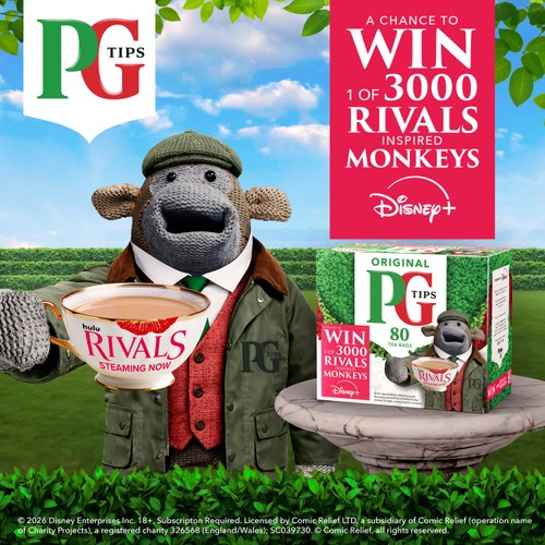 Pg Tips Original 240s 