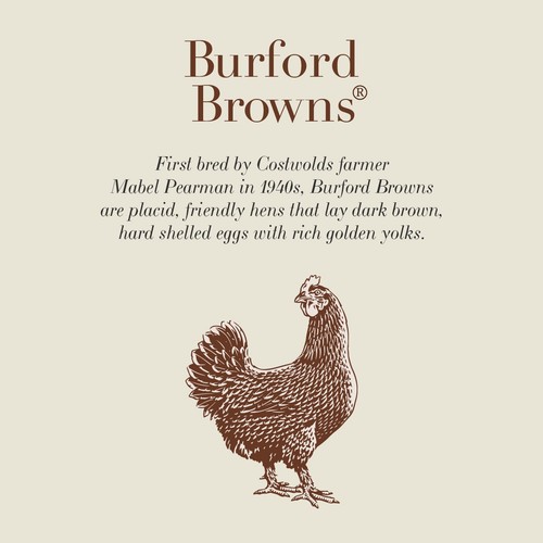 Clarence Court Burford Browns Free range Eggs 10 pack 