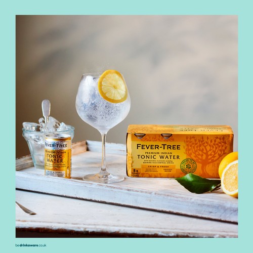 Fever-Tree Premium Indian Tonic Water