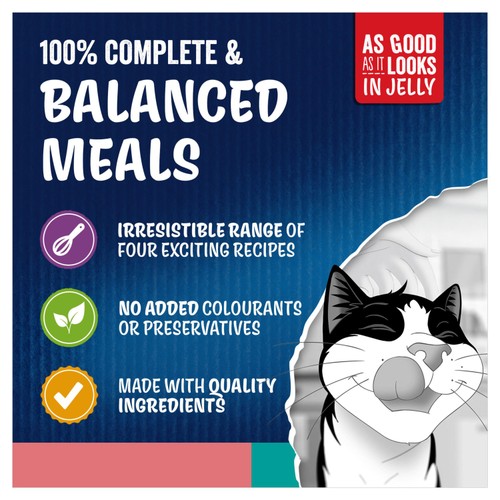 Felix Doubly Delicious Ocean Recipes In Jelly Wet Cat Food 12x85g