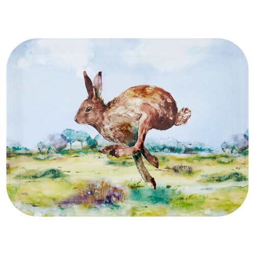 Morrisons Countryside Hare Large Tray