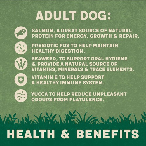 Harringtons Dry Adult Dog Food Rich in Salmon & Potato