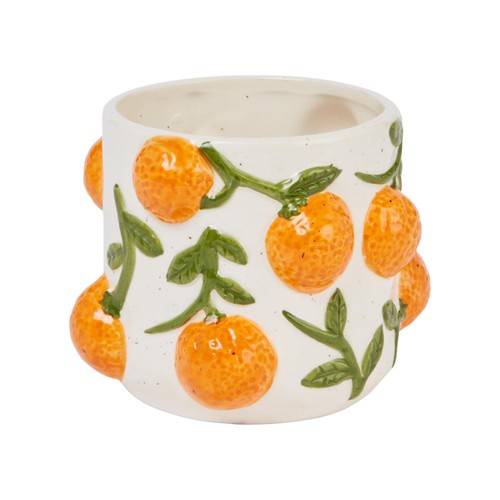 Nutmeg Home Medina Embossed Fruit Indoor Plant Pot