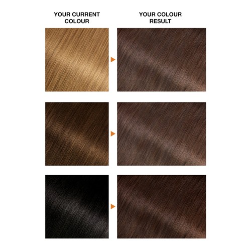 Garnier Belle Color Color-Ease Cream 5 Natural Brown