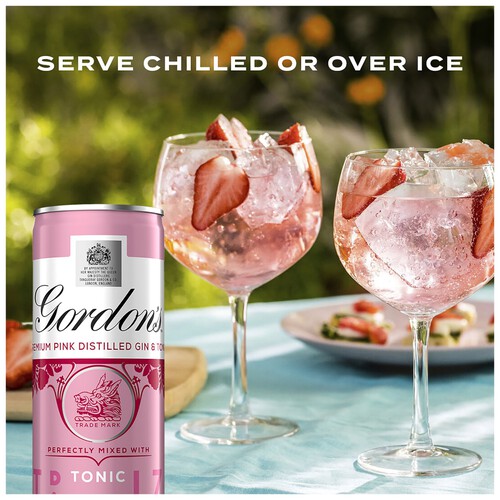 Gordon's Premium Pink Gin & Tonic 5% vol Ready to Drink Premix Cans