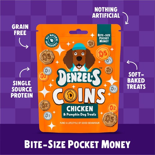 Denzel's Coins Chicken & Pumpkin Dog Treats 90g