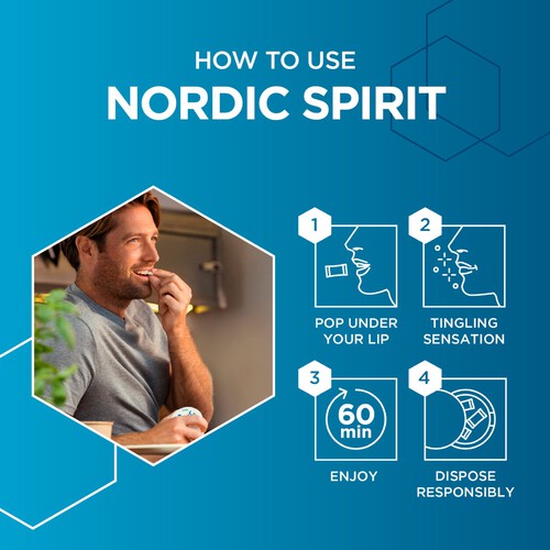 Nordic Spirit Mint Regular Nicotine Pouches