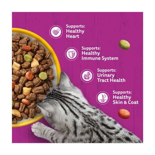 Whiskas Senior 7+ Dry Cat Food In Chicken