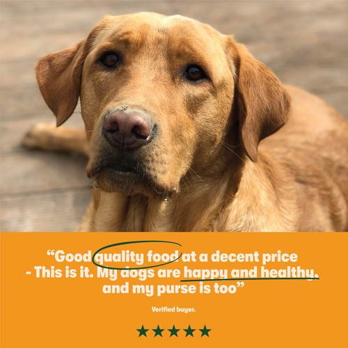 Harringtons Dry Adult Dog Food Rich in Turkey & Veg