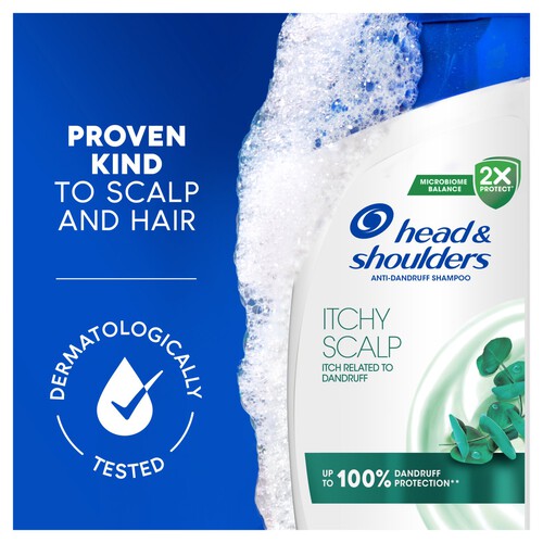 Head & Shoulders Itchy Scalp Shampoo 