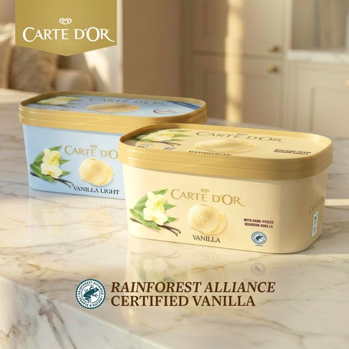Carte D'or Madagascan Vanilla Ice Cream Tub 900ml