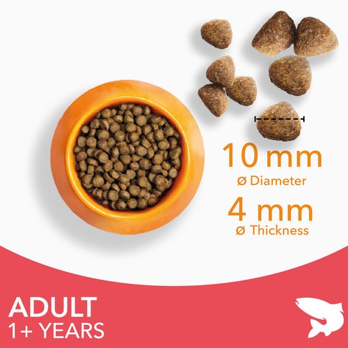 Iams For Vitality Cat Adult 1+ Years With Salmon 