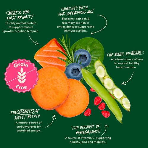 Harringtons Grain Free Superfoods Dry Dog Food In Salmon