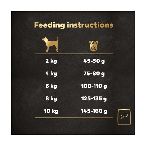 Cesar Dog Complete Dry With Beef, Poultry & Vegetables 