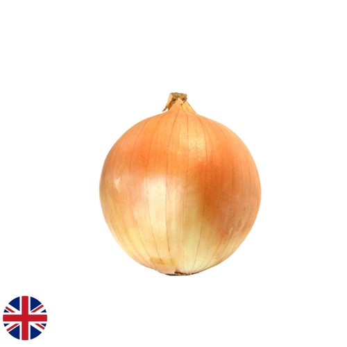 Morrisons loose onion
