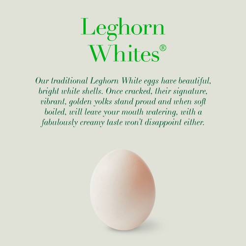 Clarence Court Leghorn Whites Large Free Range Eggs 6 Pack