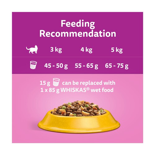 Cat dry food recommendations best sale