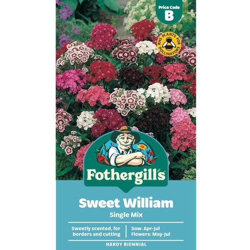 Mr Fothergills Sweet William Single Mixed Seeds