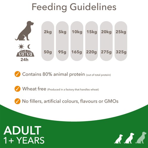 Iams Dry With Lamb For Small To Medium Dogs 