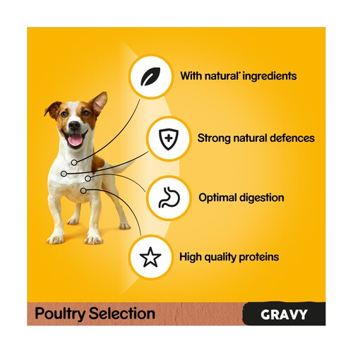 Pedigree Adult Wet Dog Food Pouches Mixed in Gravy