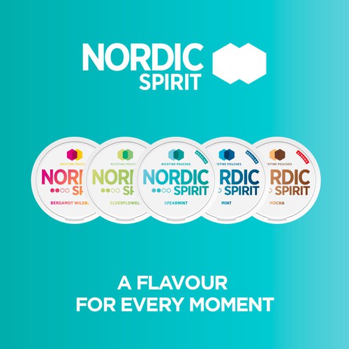 Nordic Spirit Spearmint Extra Strong 20 Nicotine Pouches