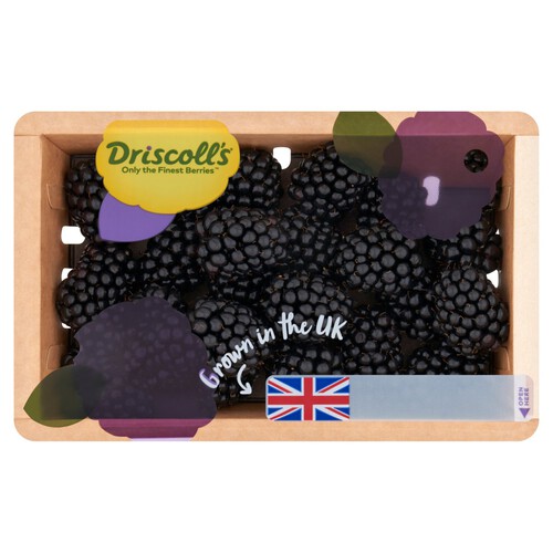 Driscoll's Blackberries