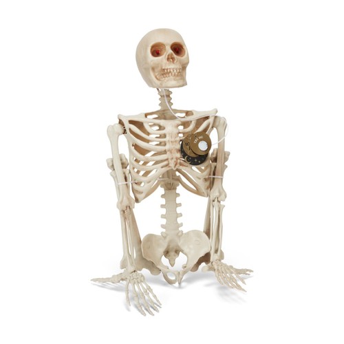 Morrisons Halloween 36" B/O Light Up Hanging Skeleton