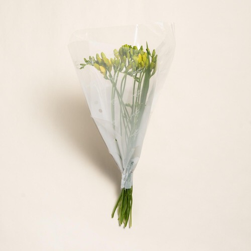 Morrisons Freesia Flowers Bouquet