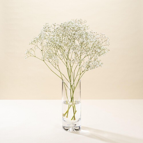 Morrisons Gypsophila Flowers Bouquet