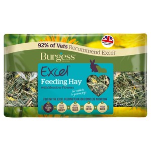 Burgess 500g