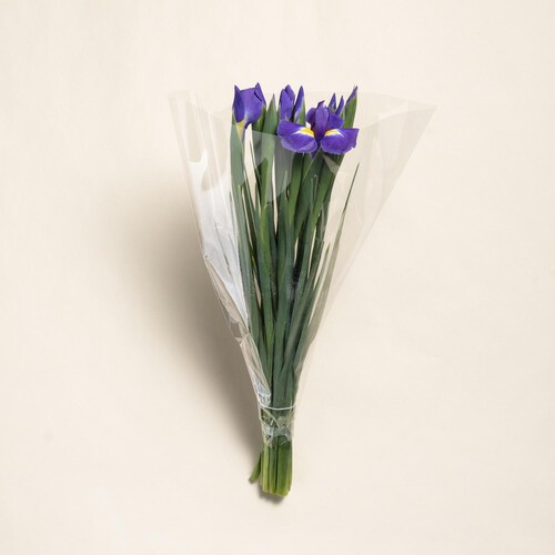 Morrisons Iris Flowers Bouquet