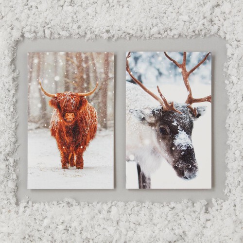 Morrisons Mini Winter Animals Christmas Cards 