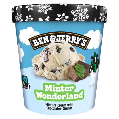 Ben & Jerry's Minter Wonderland Ice Cream Tub 