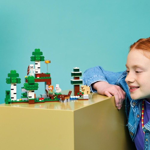 Lego Minecraft First Night Adventure 21593
