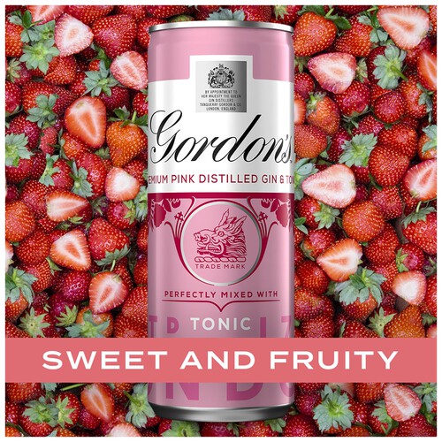 Gordon's Premium Pink Gin & Tonic 5% vol Ready to Drink Premix Cans