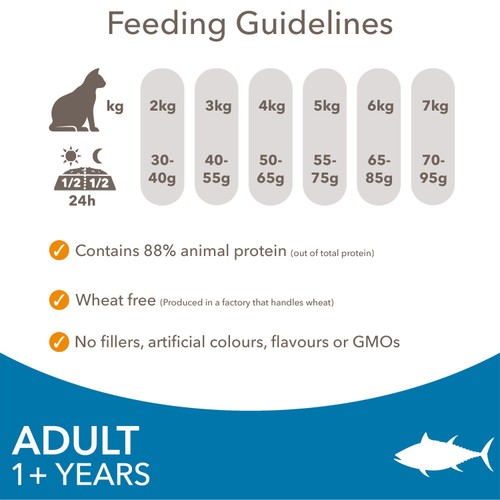 Iams Dry Cat With Tuna 1+ Years 