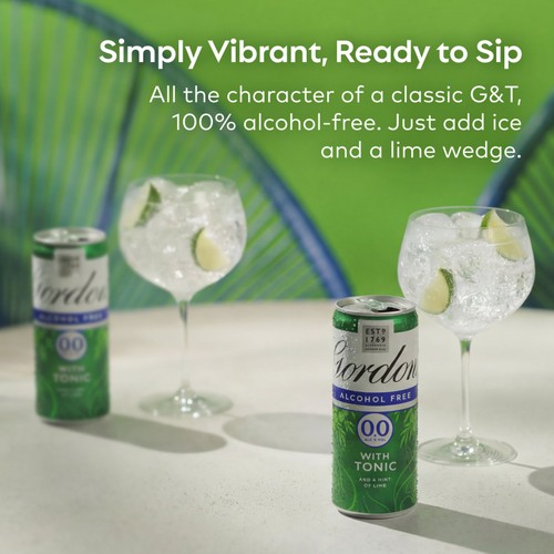 Gordons Alcohol Free Gin & Tonic 