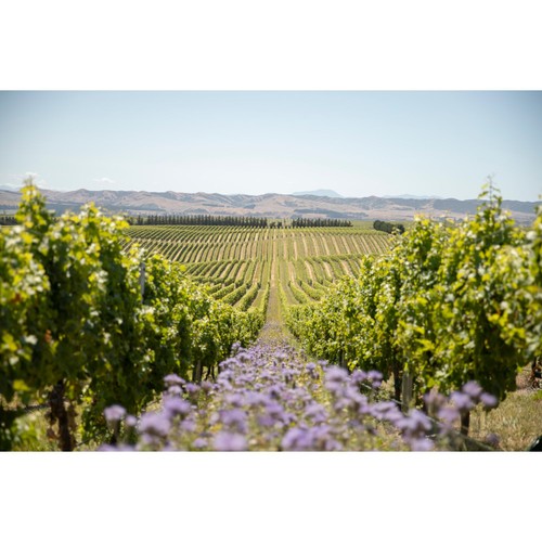Yealands Reserve Sauvignon Blanc