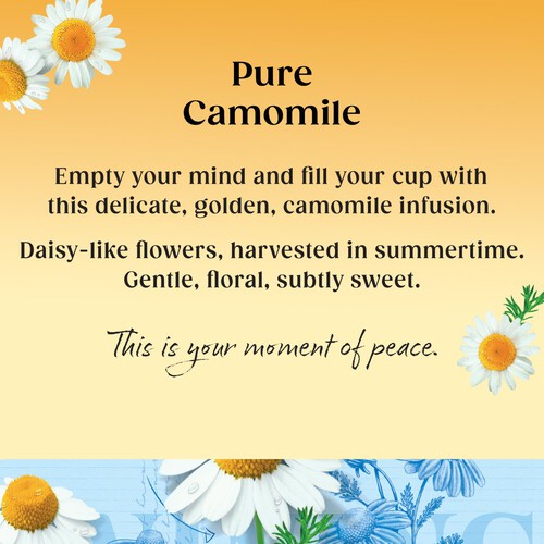 Twinings Calm Camomile Tea Bags 20s