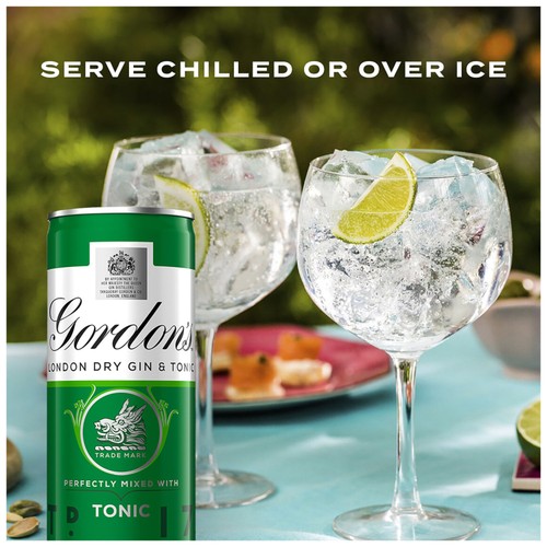  Gordon's London Dry Gin with Tonic 5% vol Ready to Drink Premix Can     